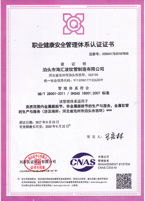 职业健康证书中文版